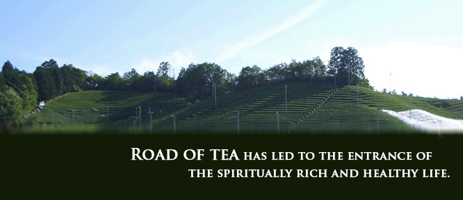 teaplant Way of tea has led to the entrance of the spiritually rich and healthy life.
